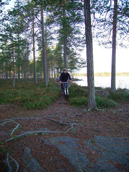 bÃckis16.jpg ht=725