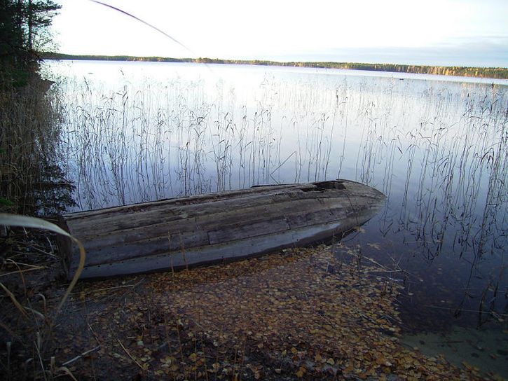 bÃckis18.jpg ht=544