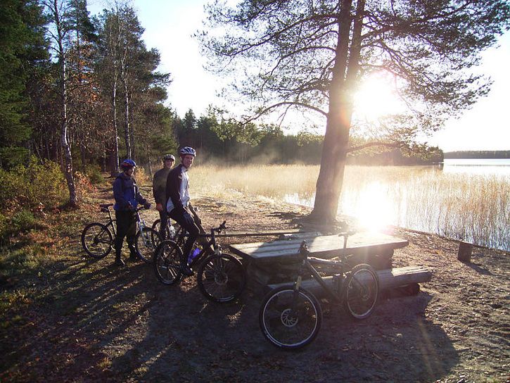 bÃckis21.jpg ht=544