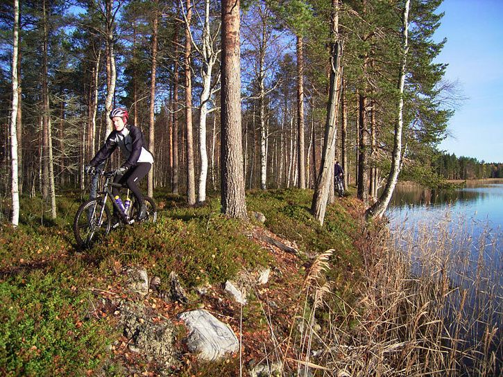 bÃckis23.jpg ht=544