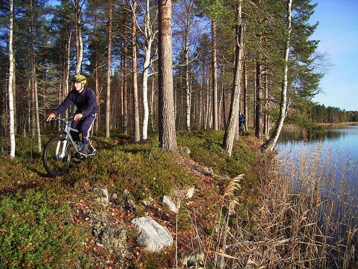 bÃckis24.jpg ht=544