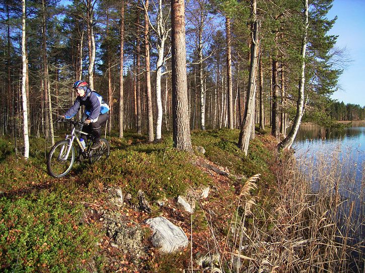 bÃckis25.jpg ht=544