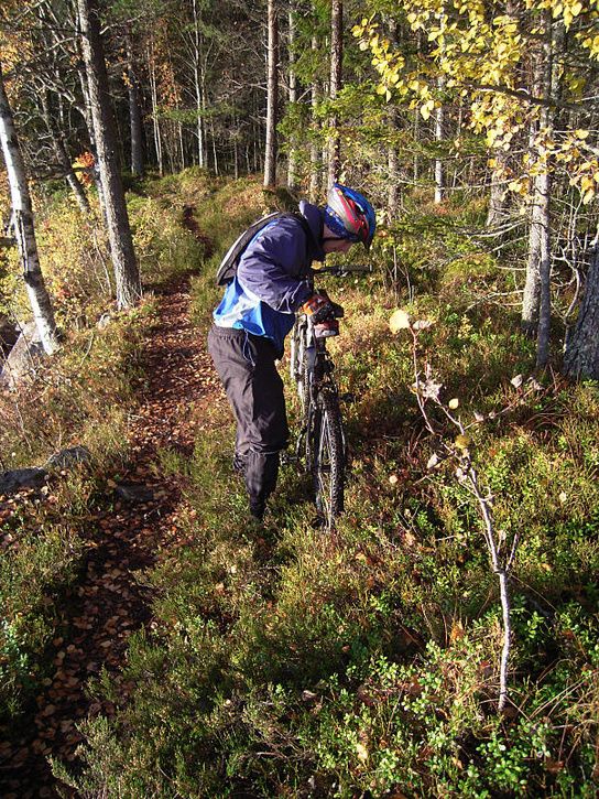 bÃckis26.jpg ht=725