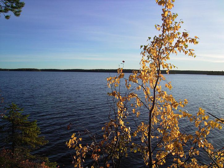 bÃckis27.jpg ht=544