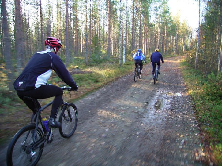 bÃckis29.jpg ht=544