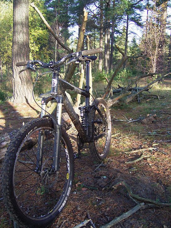 bÃckis36.jpg ht=725