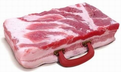bacon-briefcase.jpg ht=284
