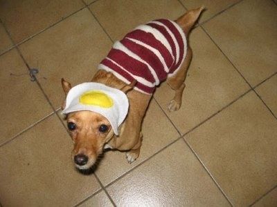 bacon-egg-betty-595.jpg ht=300