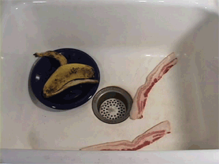 bacon_in_a_sink.gif ht=240