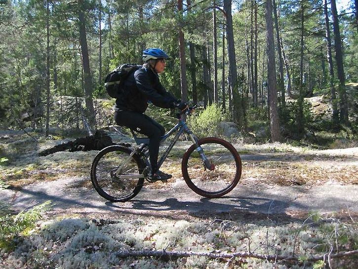 baklanges2.jpg ht=544