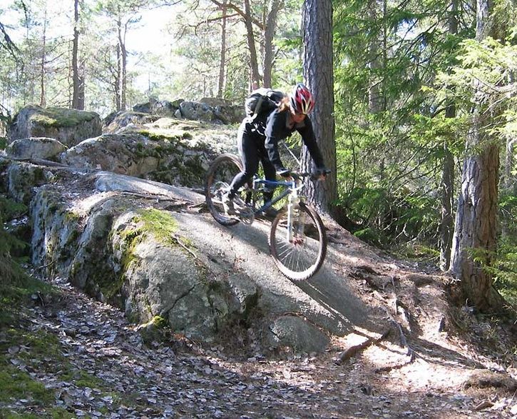 baklanges3.jpg ht=587