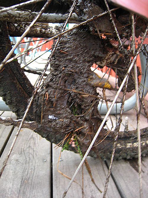 BakvÃxel.jpg ht=667