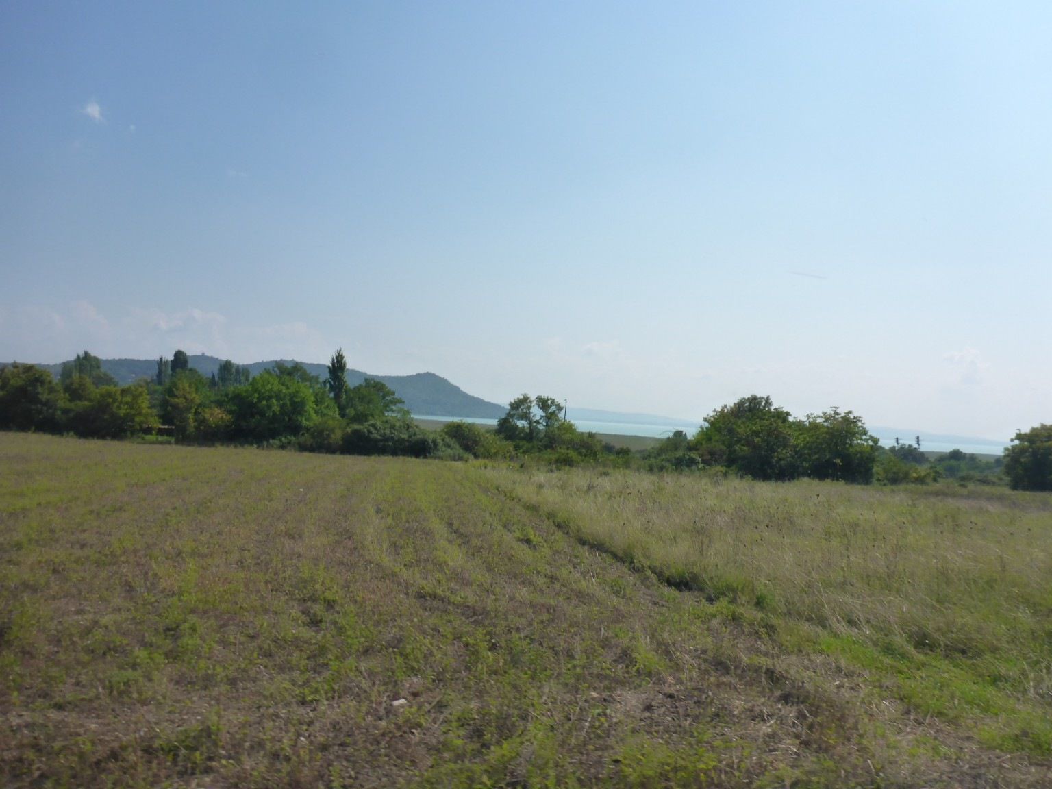 Balaton3.JPG