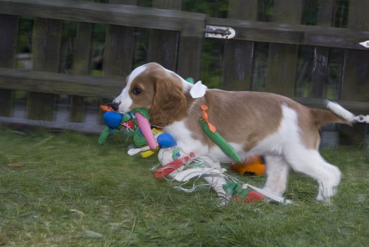 ballongparty.jpg ht=485