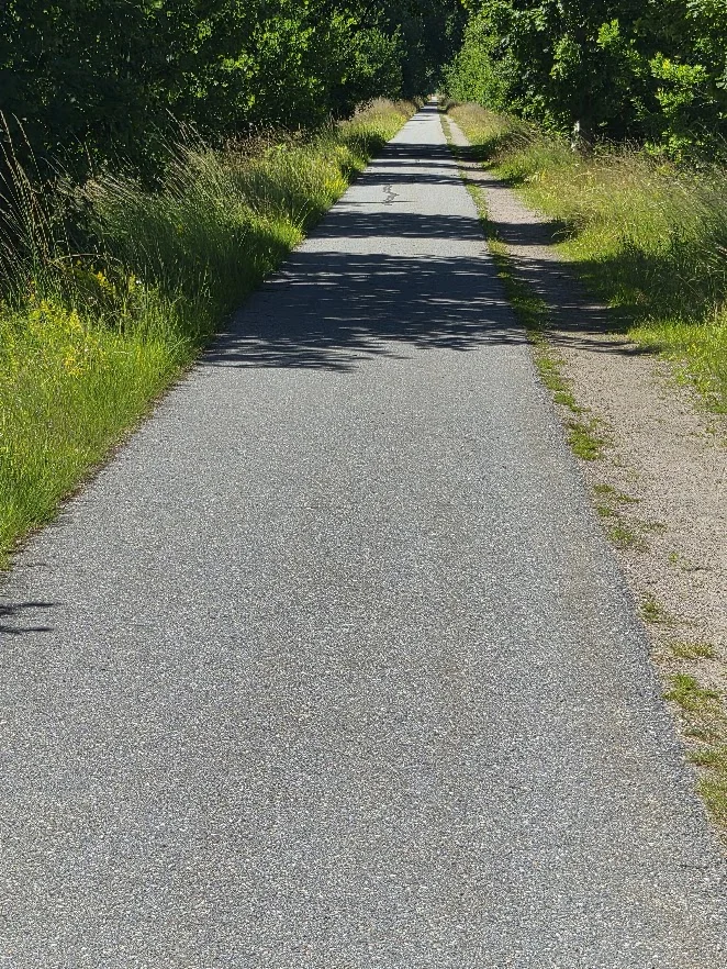 Banvall_1_20260709.webp