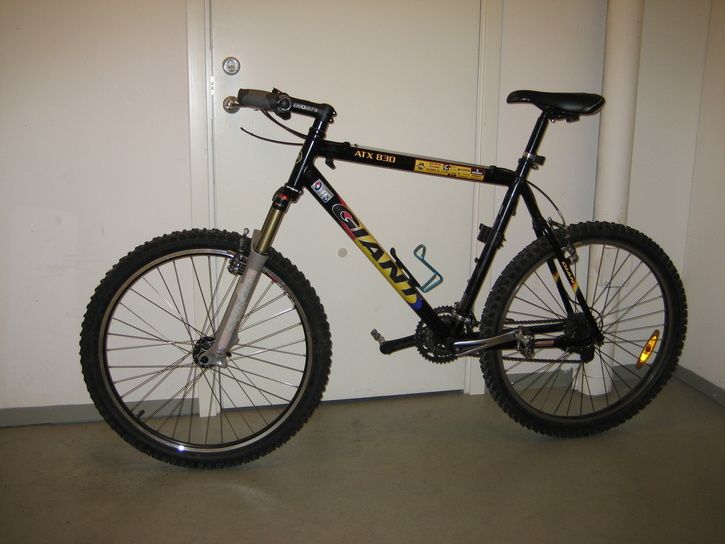 Bara_cykel_001.jpg ht=544