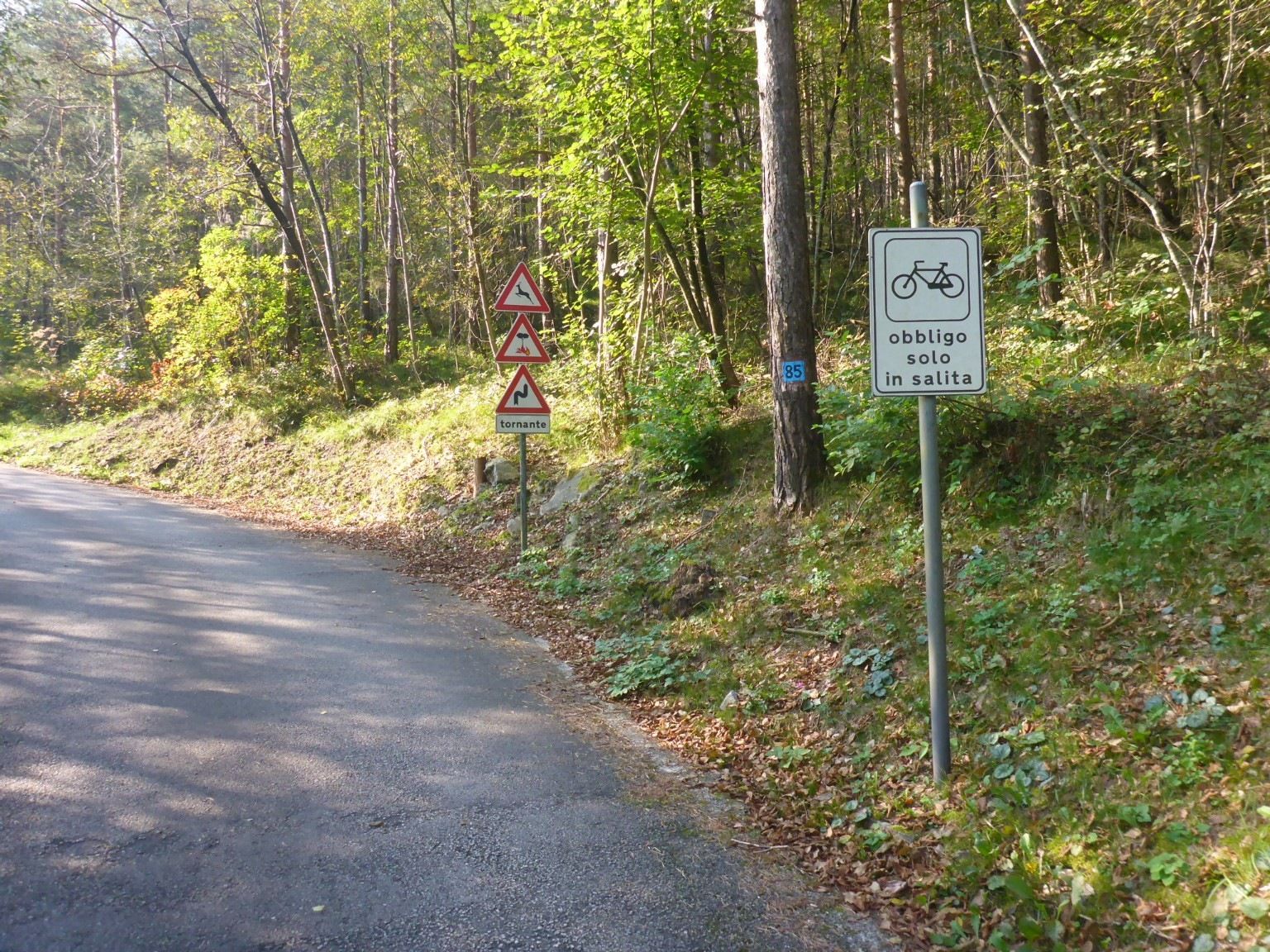 Baraupp.JPG