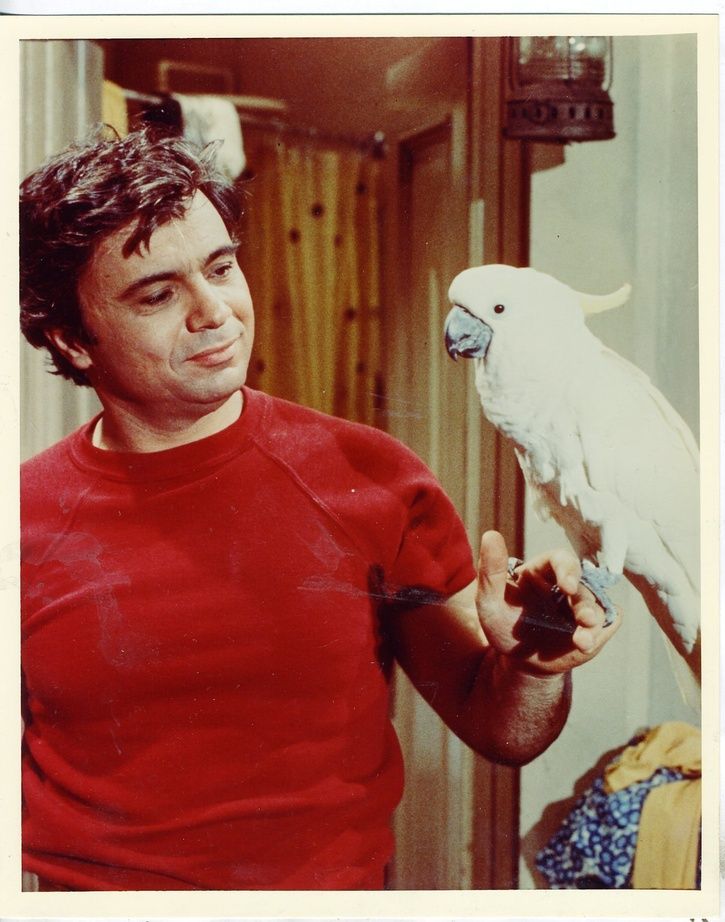 baretta_01.jpg