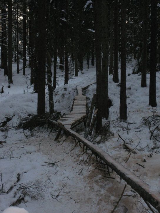 brfendal100213021.jpg ht=725