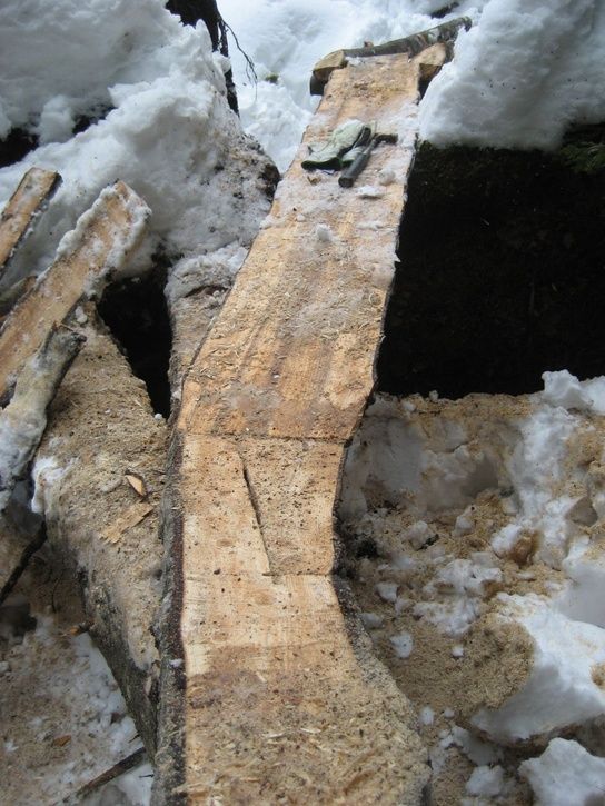 brfendal100227011.jpg ht=725