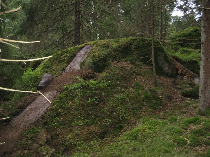 brfendal100516017.jpg ht=544