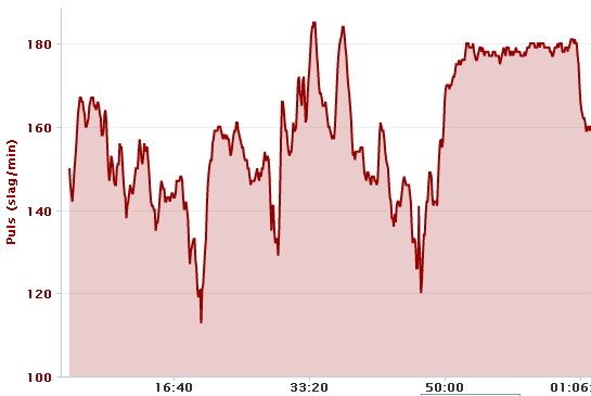 bc-puls.jpg