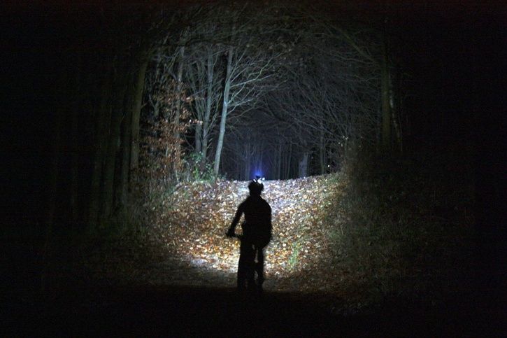 BeamshotSpiderEyesTrouteLight.jpg