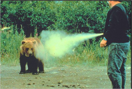 bear-attack-bear-spray1.jpg