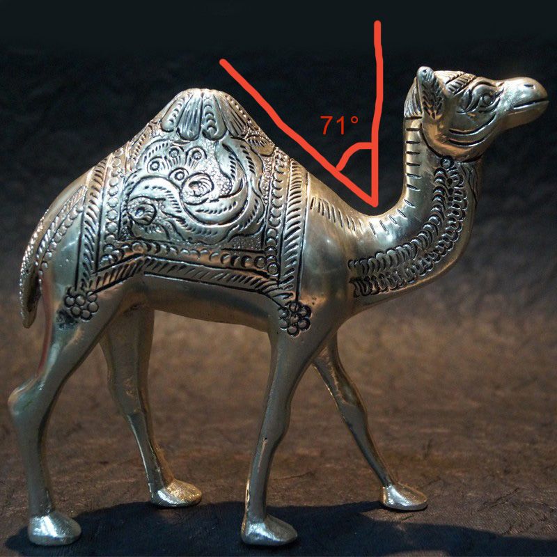 beautifully-crafted-aluminium-camel-idol.jpg