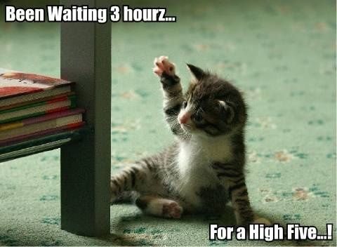 been-waiting-3-hourz-for-a-high-five.jpg ht=352