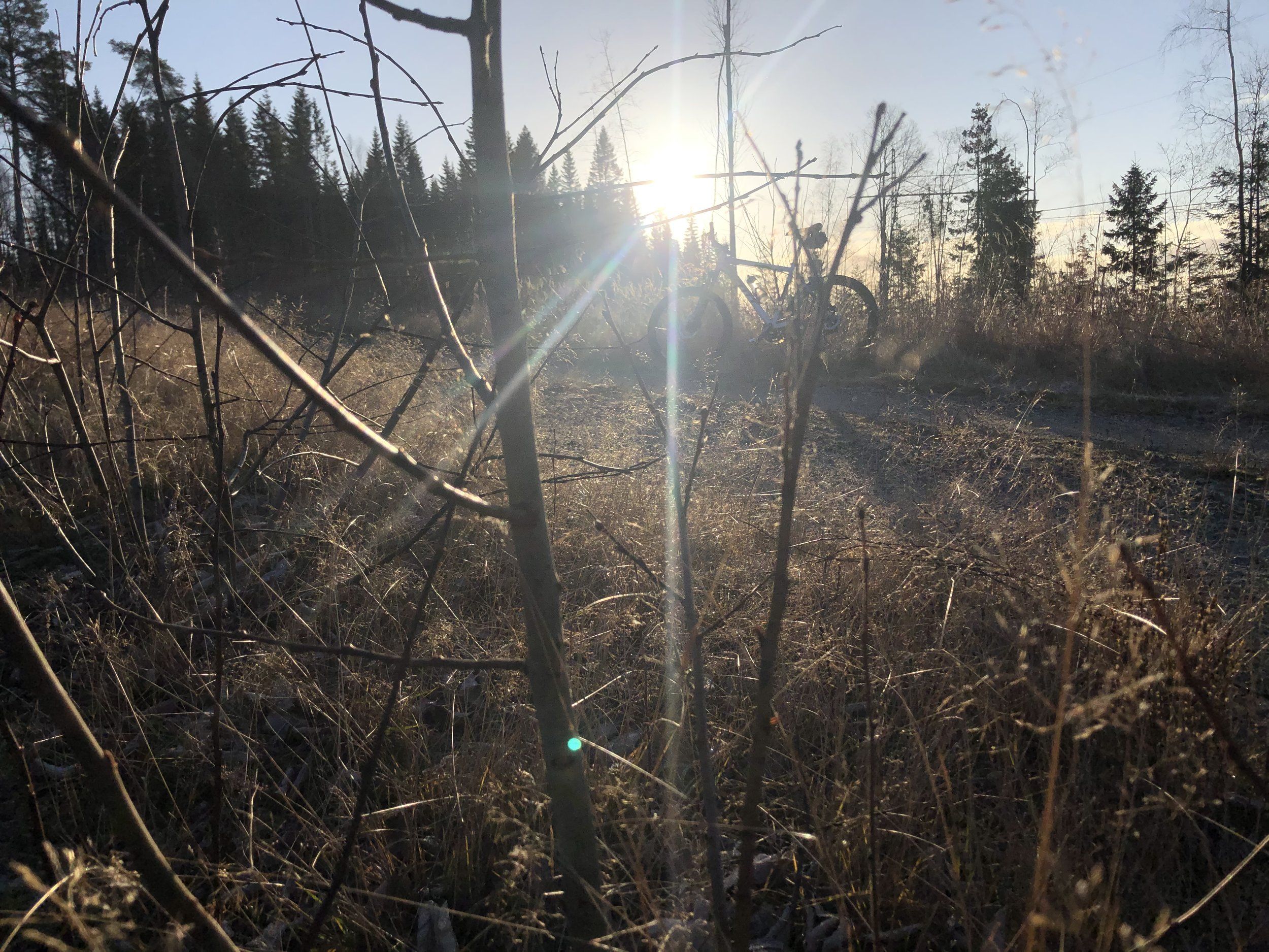 BEF3083A-EA10-4100-B08A-CD73D08C2E9B.jpeg