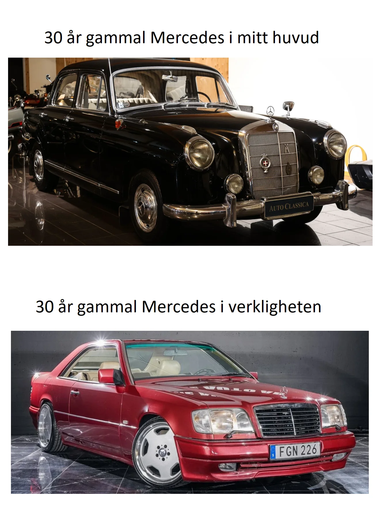 Benz.webp