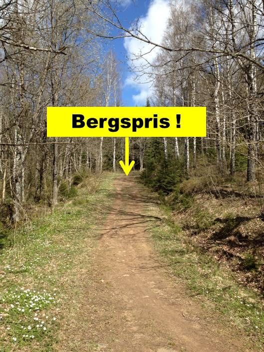 Bergspris.jpg