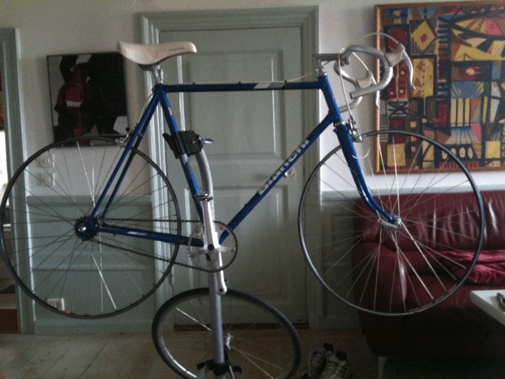 Bianchi.gif ht=544