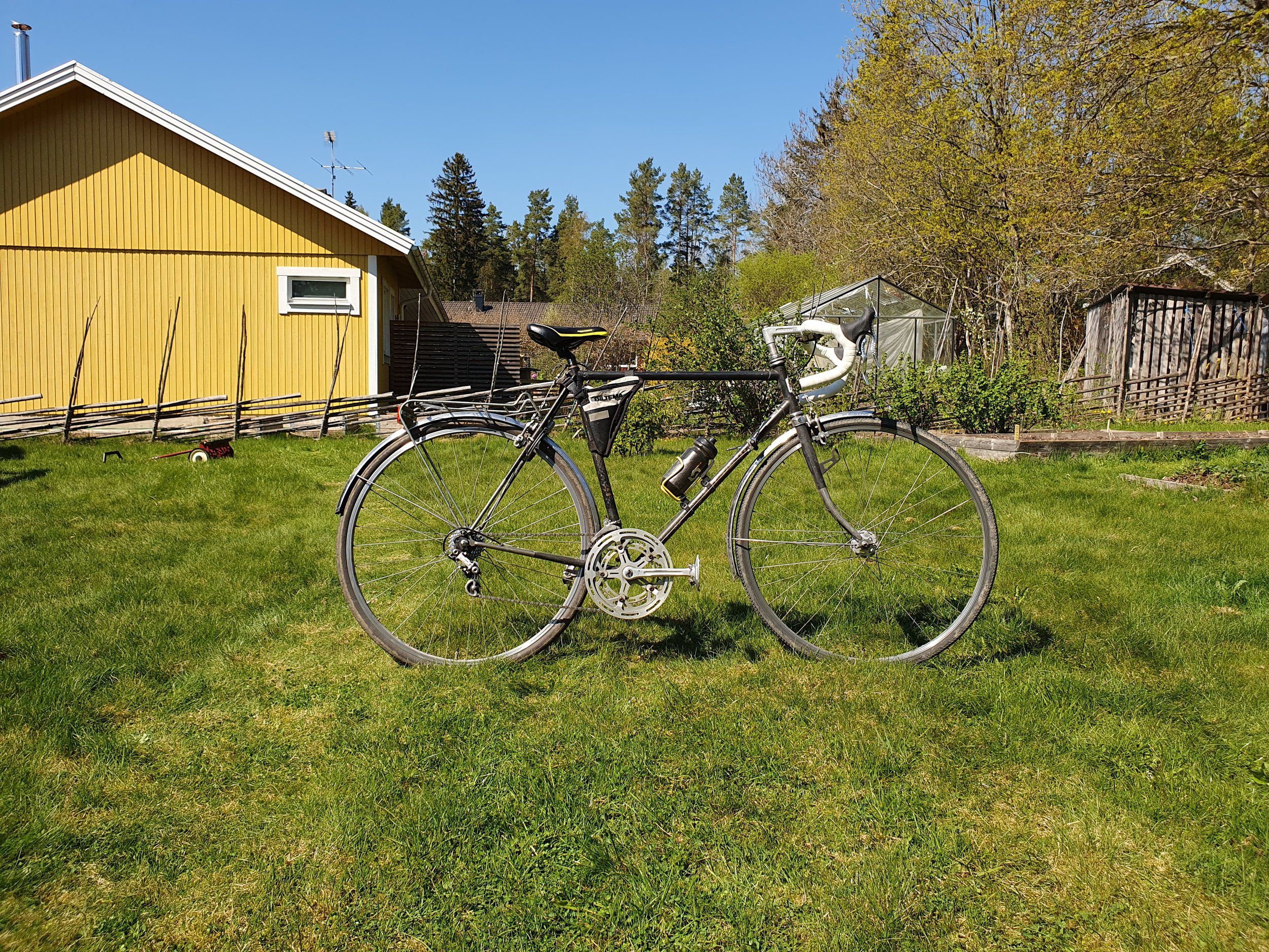 Bianchi gräs.jpg