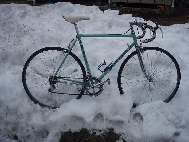 bianchi.JPG ht=461