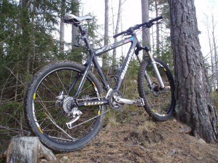 bianchi_1.jpg ht=544