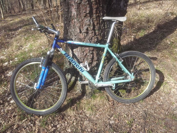 Bianchi_Martini_racing.jpg