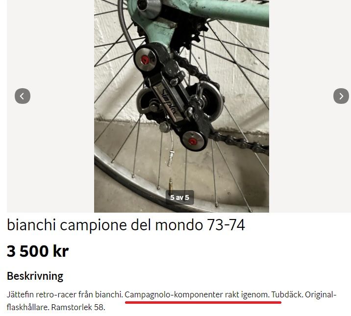 Bianchi_retro_Campa.jpg