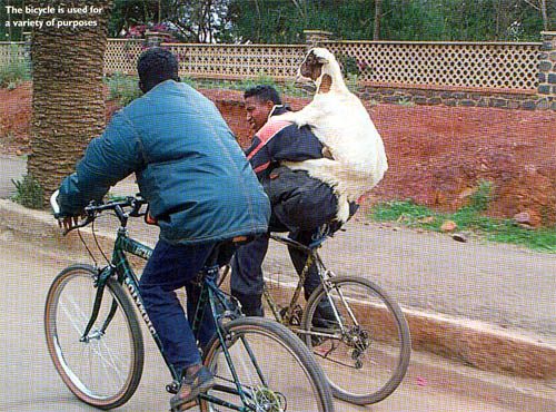 bicycle16.jpg ht=370