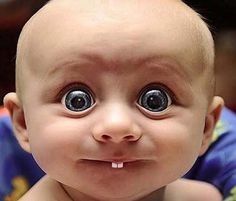 big-eyes.jpg