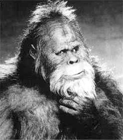 bigfoot1.jpg ht=456