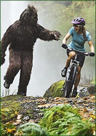 BigFoot_XC_Babe.jpg ht=568