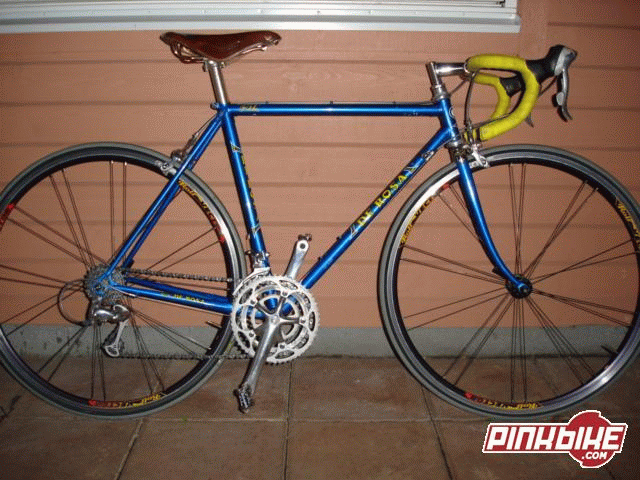 bigmollosderosa.GIF ht=480