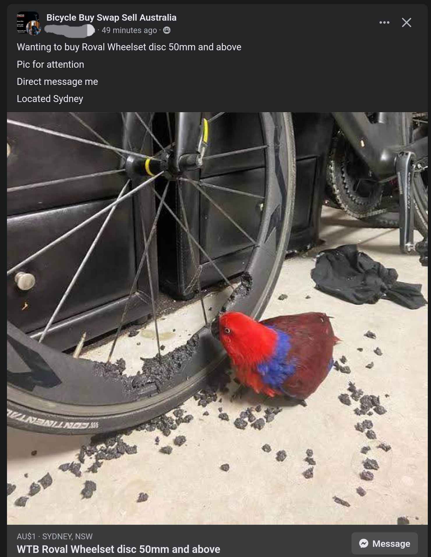 bike tires.jpg