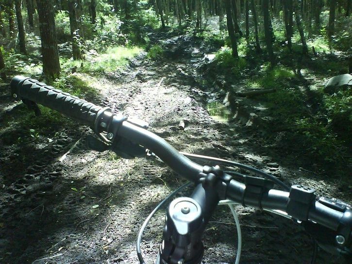 bike1.jpg ht=544