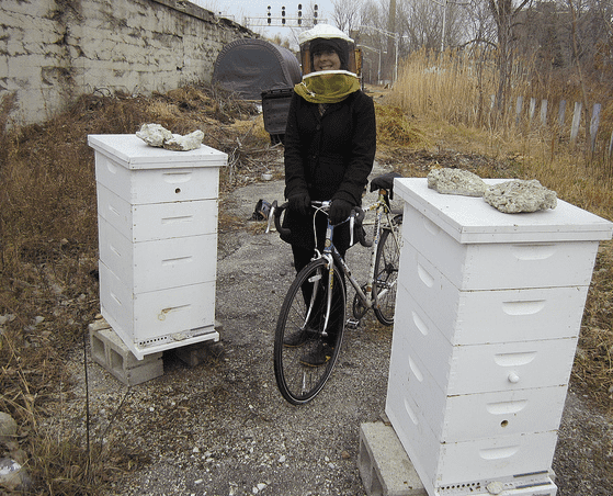 BikeABee.png