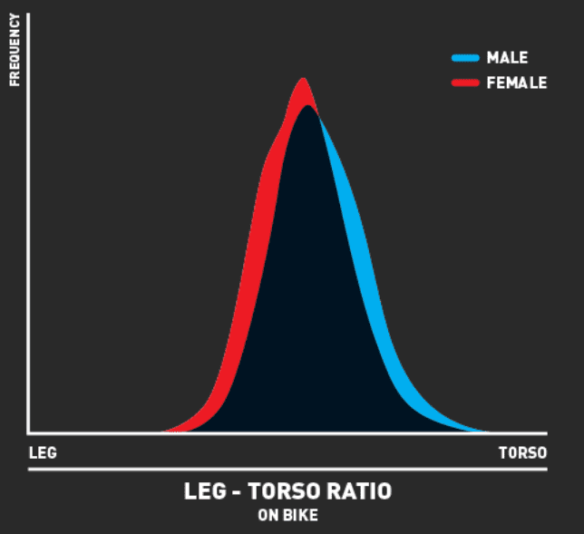 BikeGeometry.PNG
