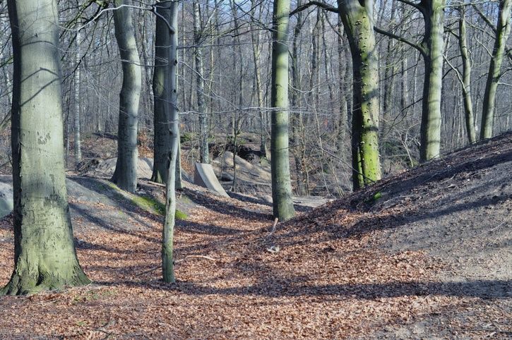 Bikepark2.jpg