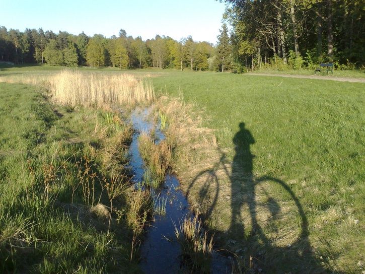biketrip.jpg ht=544
